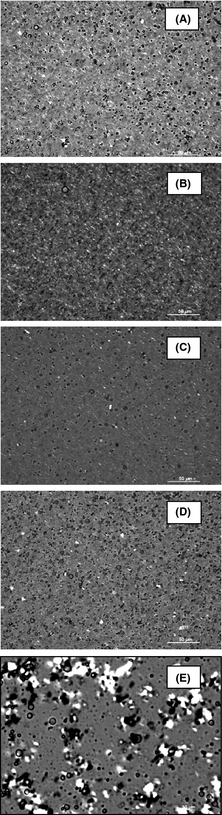Figure 3.