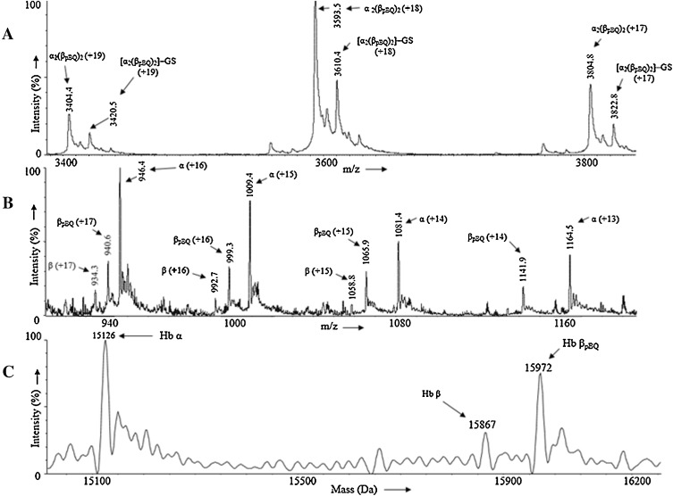 (A) Mass spectrum of non-covalently bound four globin chains alongwith their ...