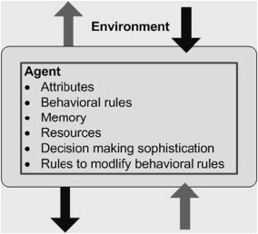 An agent in its environment. After Macal and North (2005).