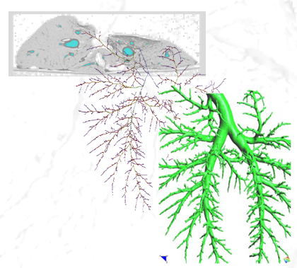 Draft Samper 526155048 2501 FigIT573.png