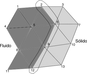 Discretización monolítica de los dominios del fluido y la estructura.
