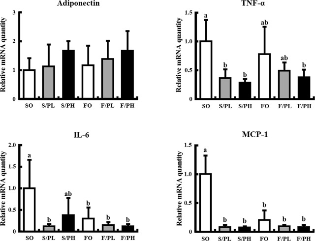 Cytokine mRNA levels in epididymal fat of 15-week-old male KK mice. Mice were ...