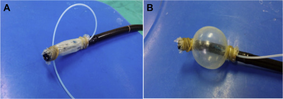 (A) Two layers of condom and a cannula were tied to the distal end of the scope ...