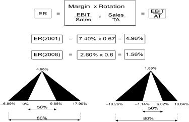 Dispersion of economic return for family businesses 2001–2008.