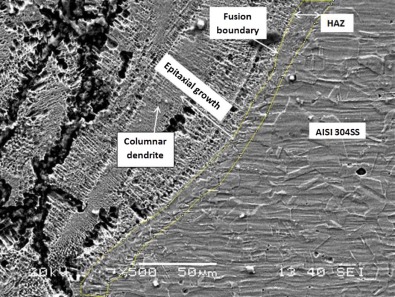 Solidification growth of weld pool from fusion boundary.