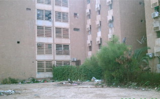 Gardens organized poorly and improperly kept.
