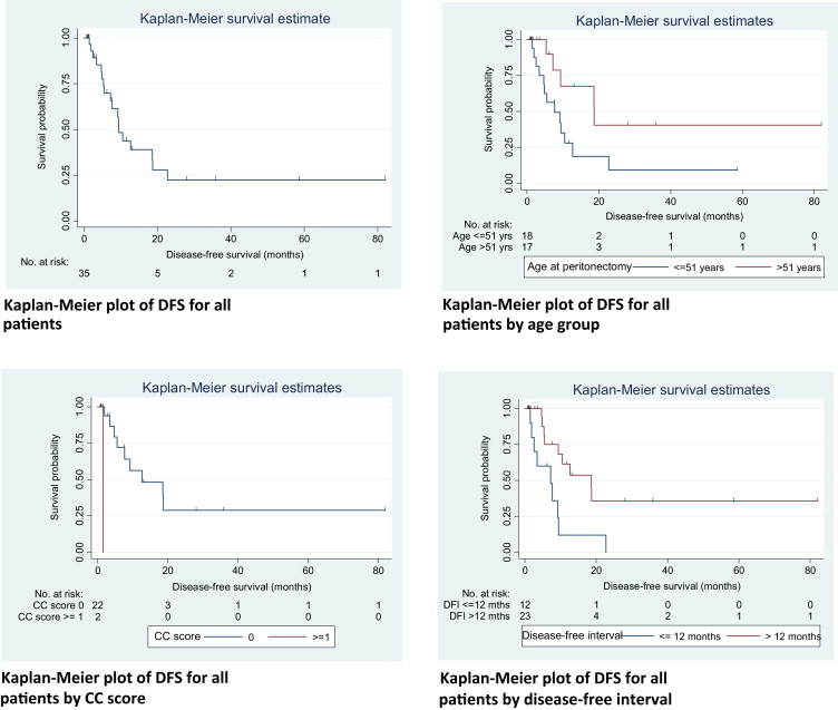Kaplan–Meier curves for disease-free survival (DFS).