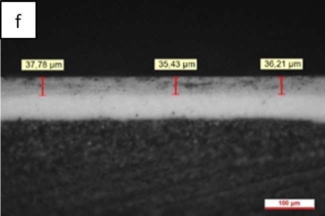 Review 950121520459 4863 Figura 2f.jpg