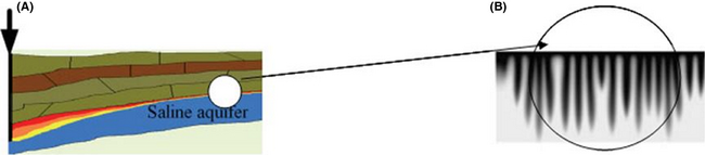 Figure 20.