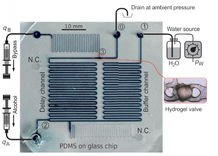 Draft Alvarez 308216271-image1.png