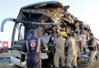 Full-size image (45 K)