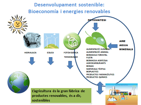 Draft Domingo 551518317-image12.png