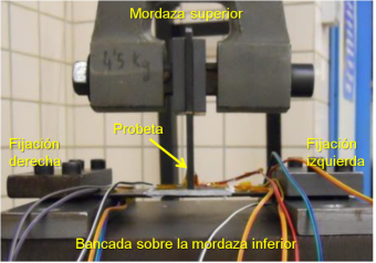 Justo et al 2017a-image7.png