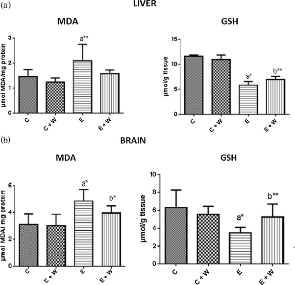 (a) Effects of watermelon juice on MDA and GSH concentrations in the liver of ...