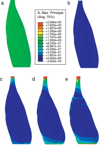 (a) Configuración inicial de la UMT. TMP alcanzada para el estímulo a (b) 10Hz. ...