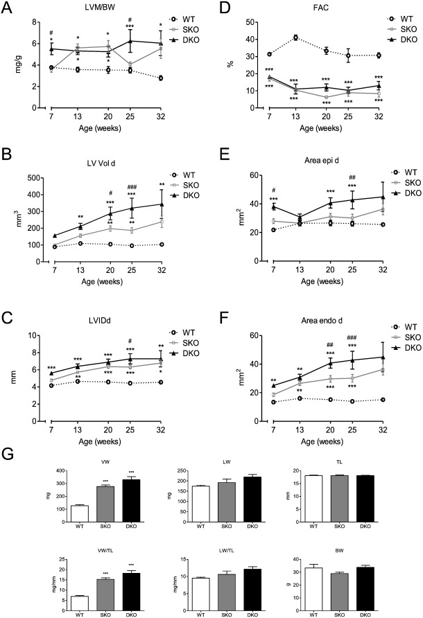Longitudinal echocardiography study and body parameters of WT, SKO and DKO ...