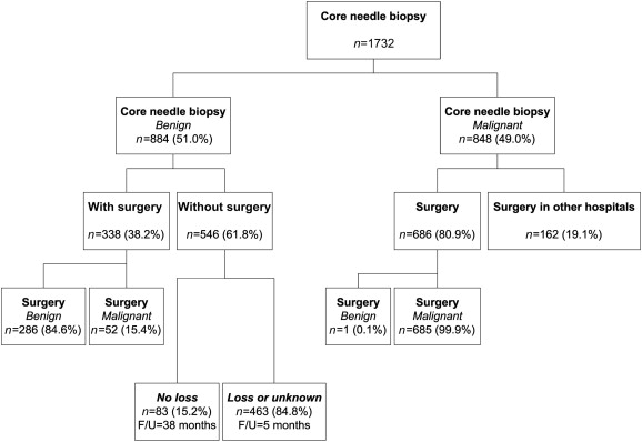 Flow chart of patient allocation. F/U = follow-up.