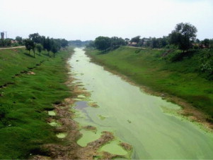 Northern part of the Grand Canal.