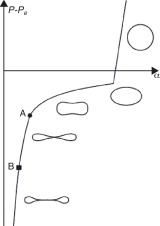 Evolución de la sección transversal de los conductos respiratorios al variar la ...