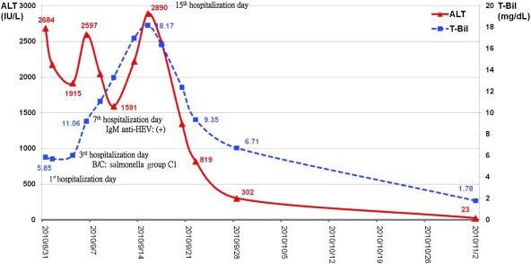 Schematic representation of serum liver enzyme concentrations in our patient. ...
