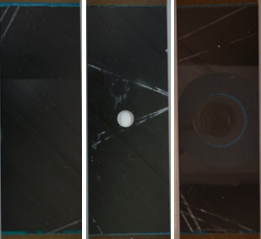 Fernandez-Canadas et al 2019a-image6-c.png