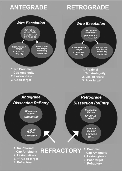 The American methodology — “hybrid approach”. Anatomy defines the strategy ...