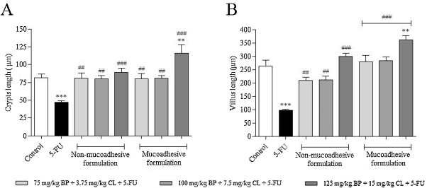 Morphometric evaluation of crypts (A) and villi (B) in small intestine of ...