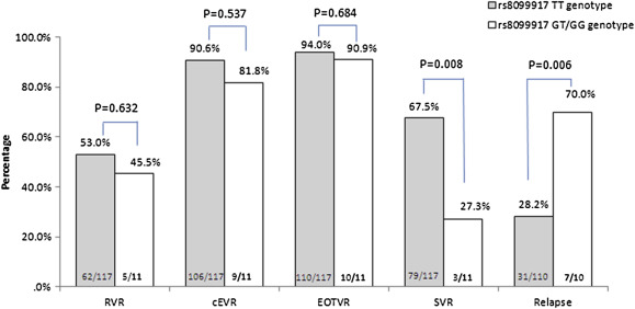 Treatment response rates with different IL28B rs8099917 genotypes. The Arabic ...