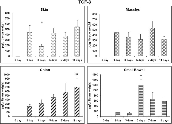 TGF-β: time course of expression. TGF-β profile in different wound sites over ...