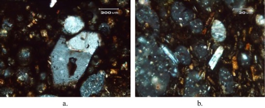 Thin sections of the scoria. a). Microphenocrysts of Olivine in volcanic glass ...