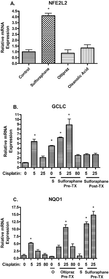 mRNA expression of antioxidant genes NFE2L2, GCLC, and NQO1 in hPTCs exposed to ...