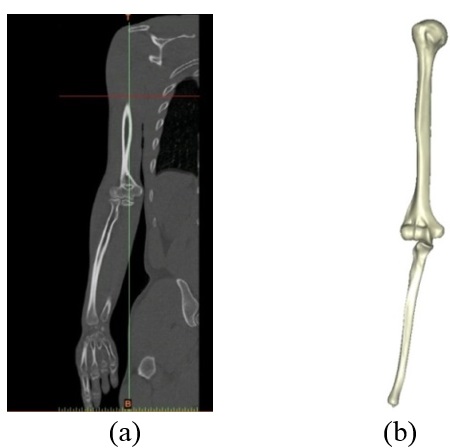 Review 392361619556 4315 8.jpg