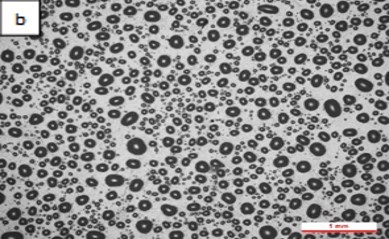 Review 950121520459 4946 Figura 5b.jpg