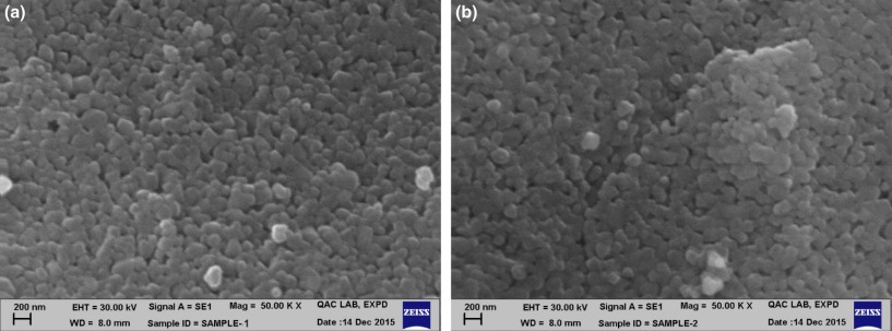 Full-size image (89 K)