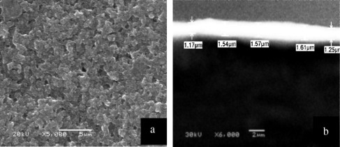 SEM of as-received black paint; (a) plain image, and (b) cross section of ...
