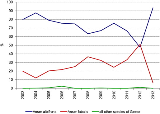 Population ratio of the main geese species on the Lake Khanka in early spring ...
