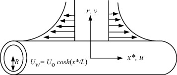 Geometry of the flow.