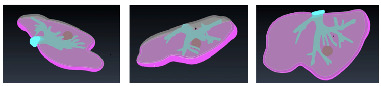 Draft Samper 627449012 2359 Fig30.png