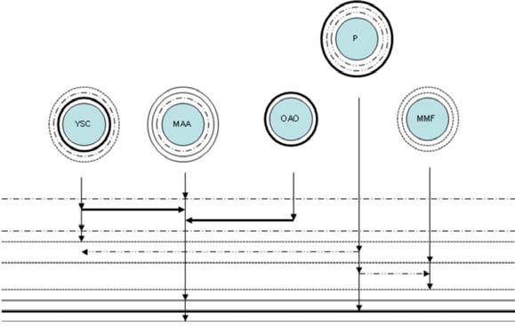 Draft Content 510992411-26560 ov-es021.jpg