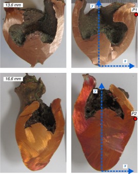 Cortes de los IED-EFP recuperados. Detalle de los ejes de cálculo locales para ...