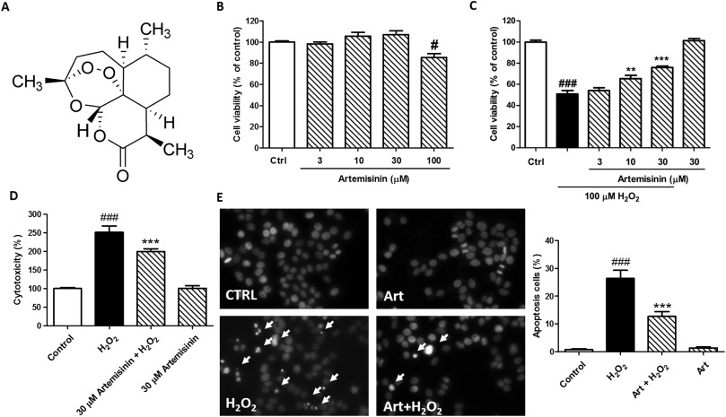 Full-size image (104 K)