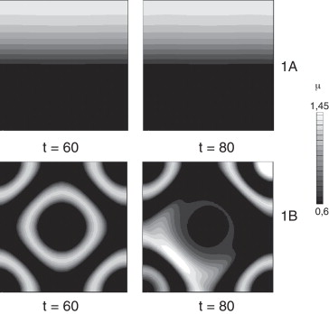 Bloques 1 y 2 representan los parámetros de las ecuaciones (1) y (3) así: 1: ...