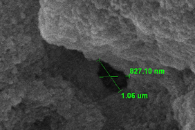 Draft Ruge 505980862-image4.png