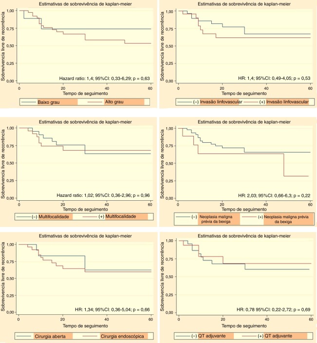 Análise de sobrevivência para determinação de variáveis clínicas, patológicas e ...