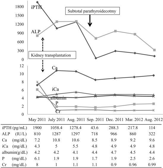 Serum iPTH, ALP, Ca, iCa, albumin, P, and Cr levels from kidney transplantation ...