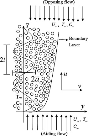 Physical model and coordinate system.