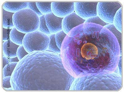 Draft Samper 526155048-image50.png