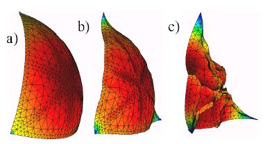 Draft Samper 330523237 9989 11.JPG