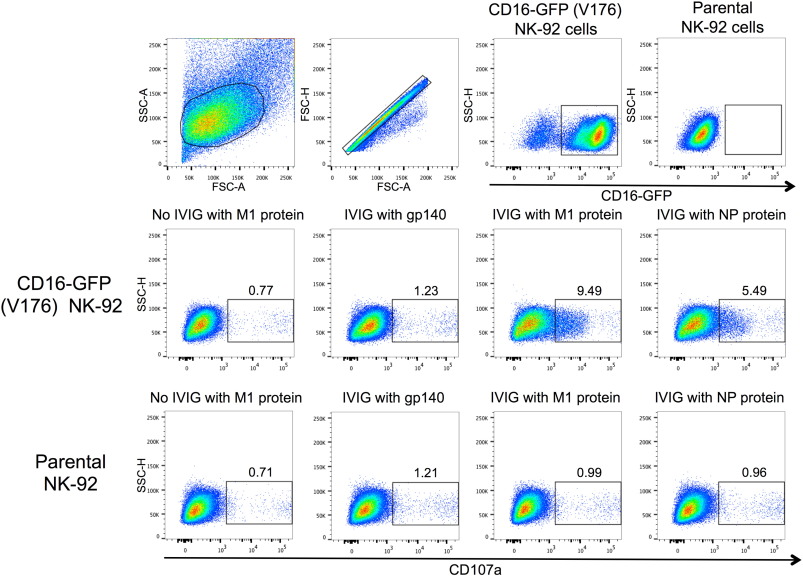 Full-size image (130 K)