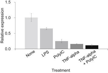 Effects of microbial derivatives for filaggrin expression in primary cultured ...